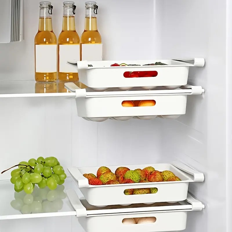 Lattice Egg Storage Organizer for Refrigerator Rack